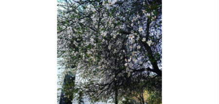 Όταν η άνοιξη χαμογελά