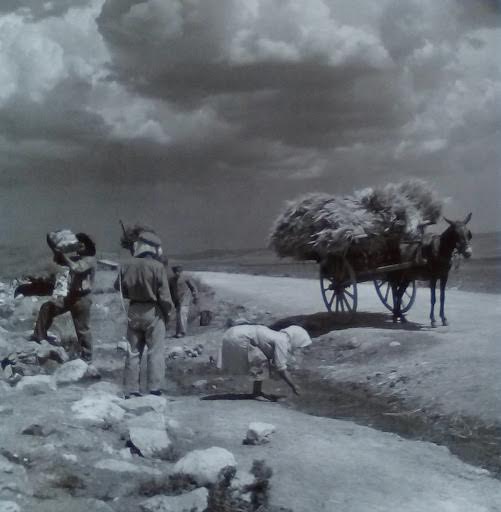 Αγρότες σε πηγή, Αττική, 1950 -55