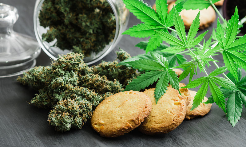 Cannabis sativa