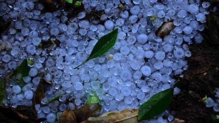 Κεράσια και ξερικές καλλιέργειες τα θύματα της χαλαζόπτωσης σε περιοχές της Κ. Μακεδονίας xalazi