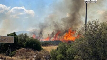 Ναύπλιο: Μεγάλη φωτιά, καίει δασική έκταση (ΦΩΤΟ) NAUPLIO FOTIA