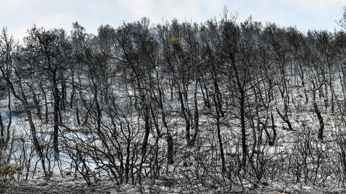 Βίλια vilia fotia pirkagia