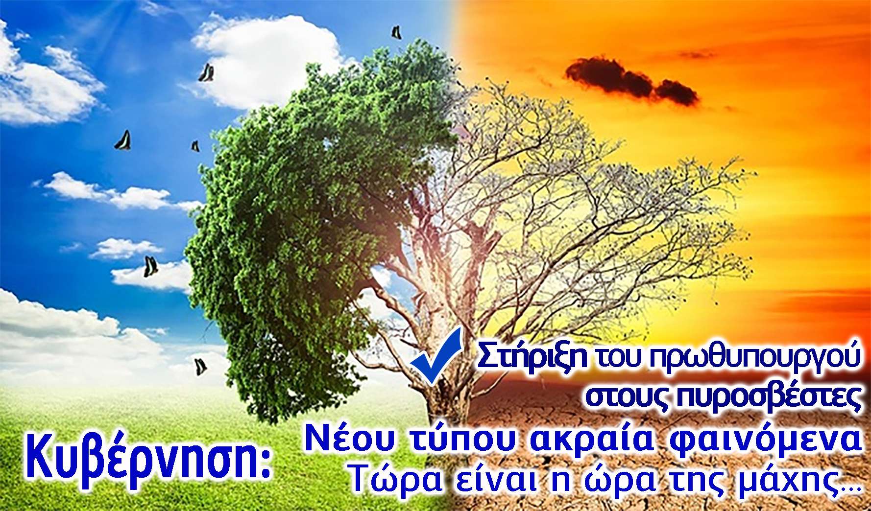 Το δικό σου δικό μου... και το θράσος απύθμενο