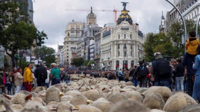 madrid2