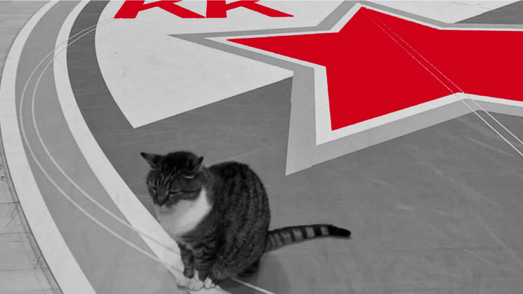 Αντίο Љубица