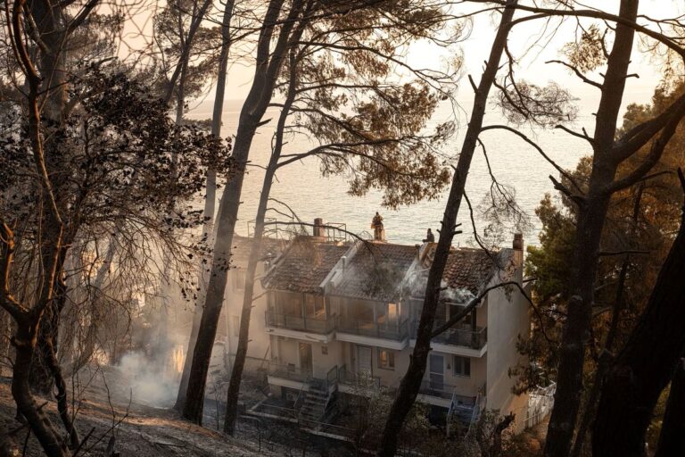 ΚΚΕ: Η κυβέρνηση αντί να απολογηθεί για τη μεγάλη πυρκαγιά στη Χαλκιδική που προκλήθηκε από δίκτυο του ΔΕΔΔΗΕ, πανηγυρίζει για λιγότερο καμένο δάσος